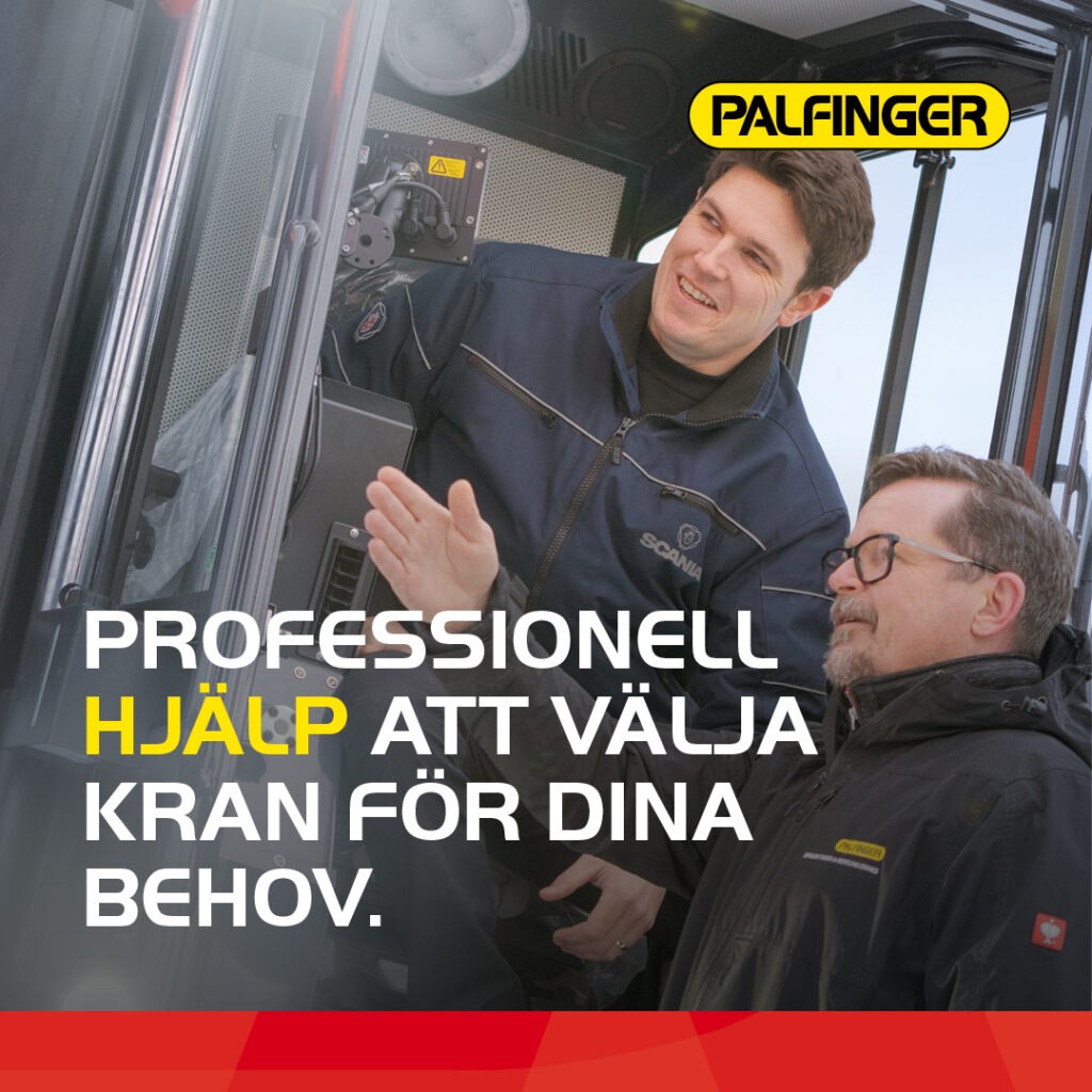 Palinger-Profesionell hjälp-1080x1080